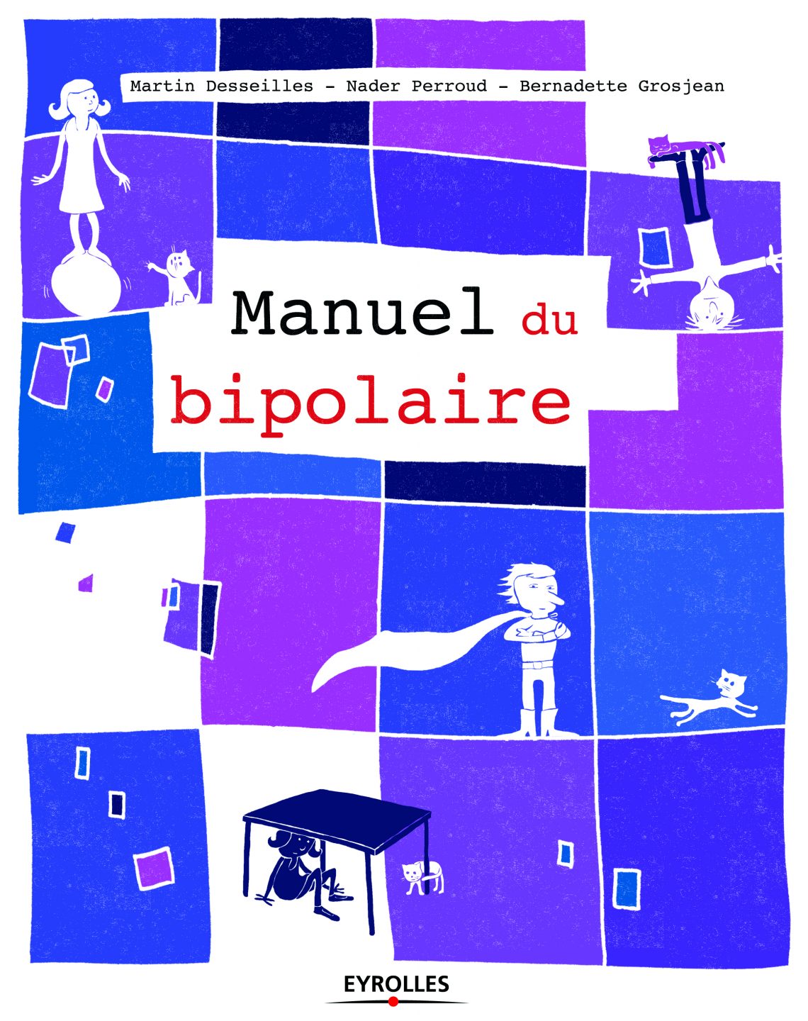 Manuel du bipolaire Pôle Santé Spa